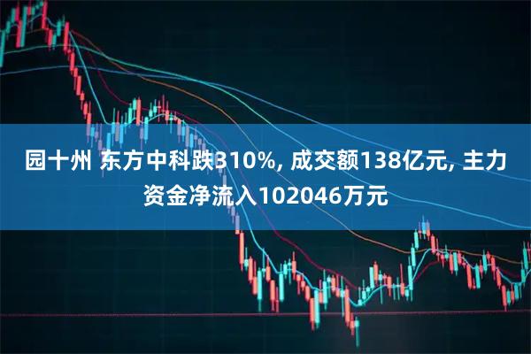 园十州 东方中科跌310%, 成交额138亿元, 主力资金净流入102046万元