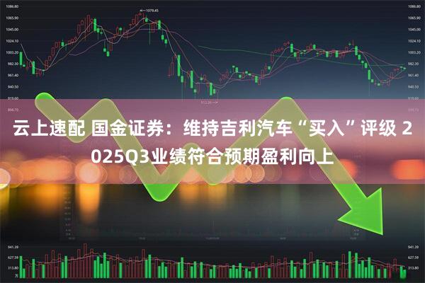 云上速配 国金证券：维持吉利汽车“买入”评级 2025Q3业绩符合预期盈利向上